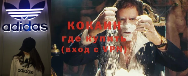 дурь Арсеньев