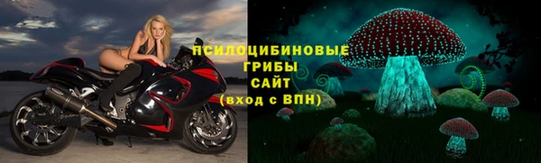 дурь Арсеньев