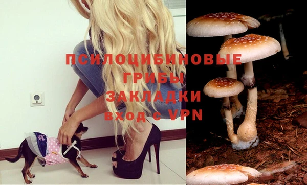 дурь Арсеньев